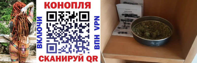 Каннабис семена Вичуга